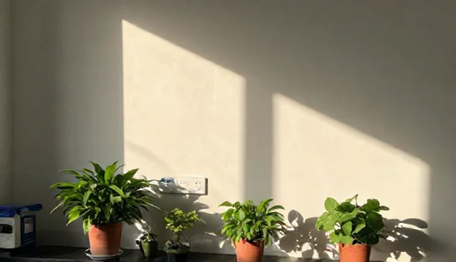 信息运维效率提升需澄清常见误区